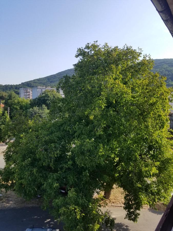 Retro Apartment Malko Turnovo Екстер'єр фото